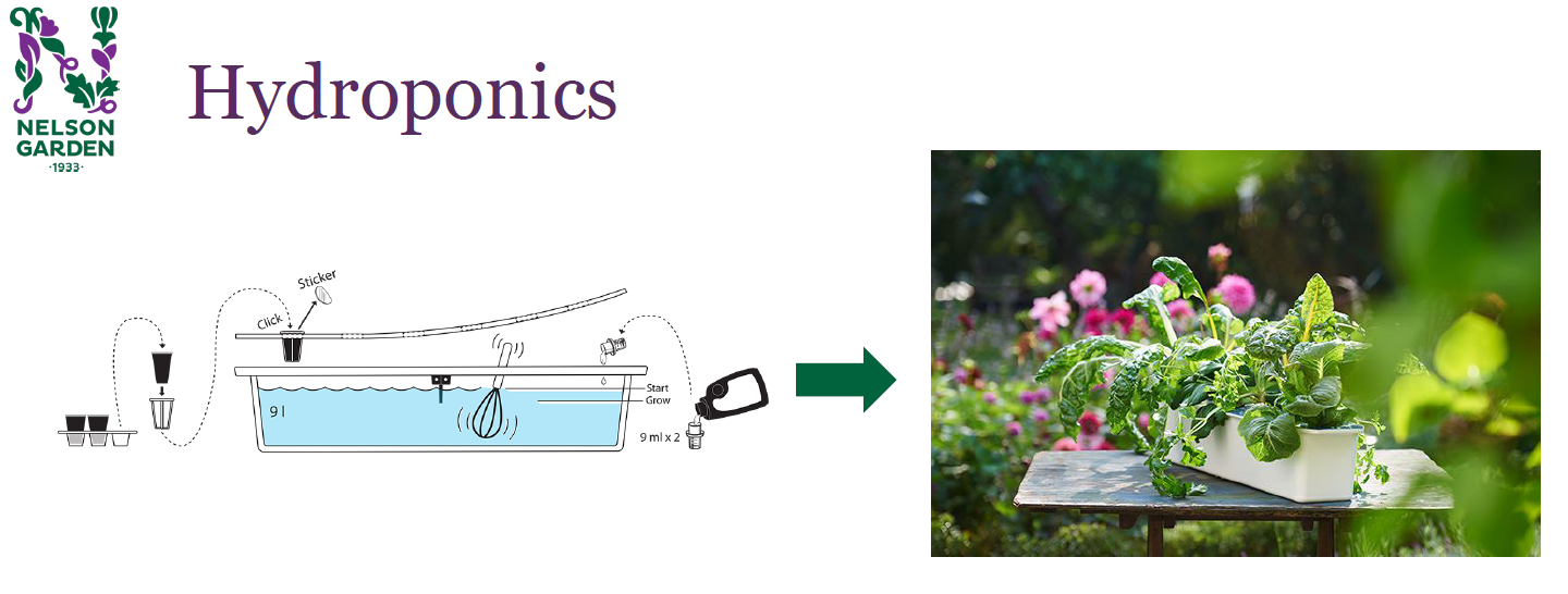 HydRoSystem